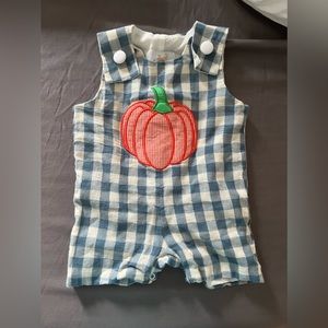 BusyBee Boy Shortall